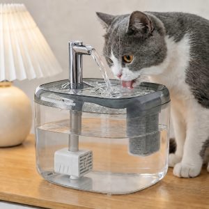 1.5L USB Cat Water Fountain – Crazy Cat Ladies