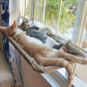 Ultra-Soft Window Hammock – Crazy Cat Ladies