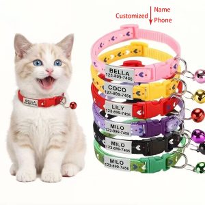 Personalised Cat Collar with Engraved ID Tag – Crazy Cat Ladies