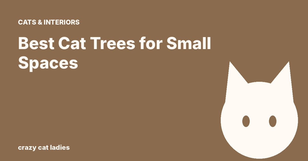Best Cat Trees for Small Spaces – Crazy Cat Ladies