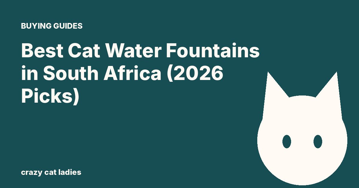 Best Cat Water Fountains in South Africa (2026 Picks) – Crazy Cat Ladies