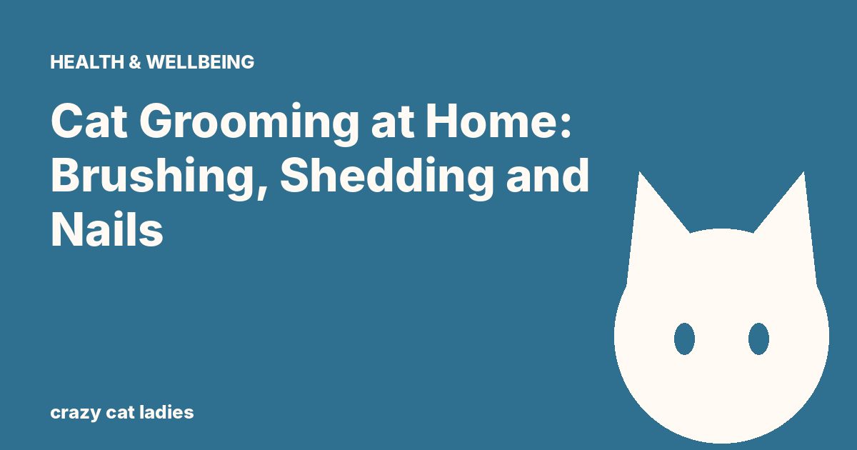 Cat Grooming at Home: Brushing, Shedding and Nails – Crazy Cat Ladies
