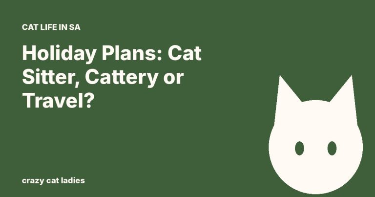 Holiday Plans: Cat Sitter, Cattery or Travel? – Crazy Cat Ladies