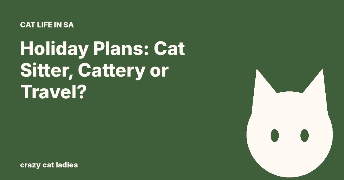 Holiday Plans: Cat Sitter, Cattery or Travel? – Crazy Cat Ladies