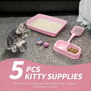 5-Piece Kitten Starter Kit – Crazy Cat Ladies