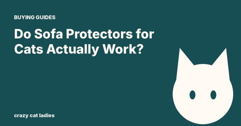 Do Sofa Protectors for Cats Actually Work? – Crazy Cat Ladies