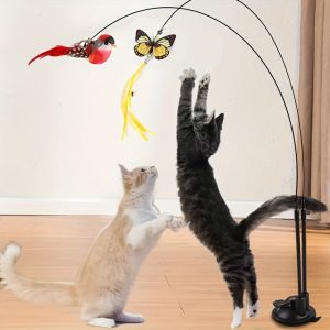 Hands-Free Suction Cup Teaser Wand Set – Crazy Cat Ladies