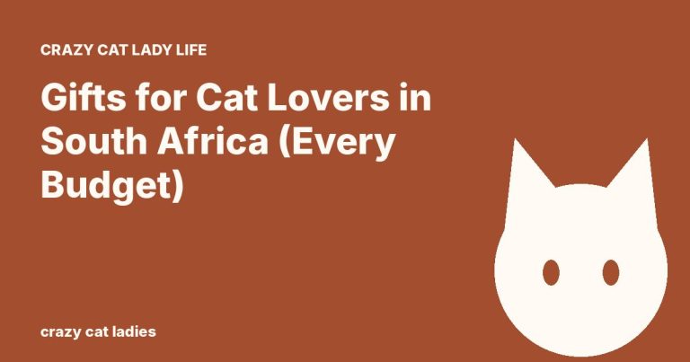 Gifts for Cat Lovers in South Africa (Every Budget) – Crazy Cat Ladies