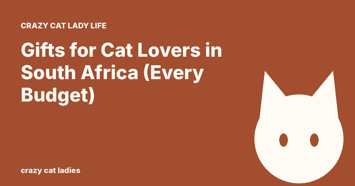 Gifts for Cat Lovers in South Africa (Every Budget) – Crazy Cat Ladies