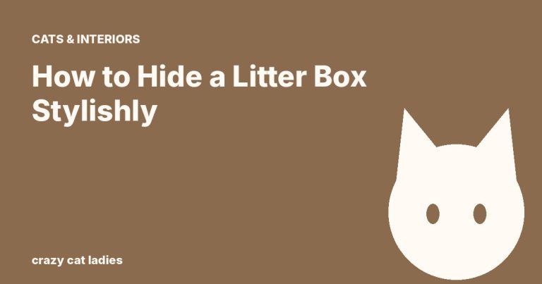 How to Hide a Litter Box Stylishly – Crazy Cat Ladies