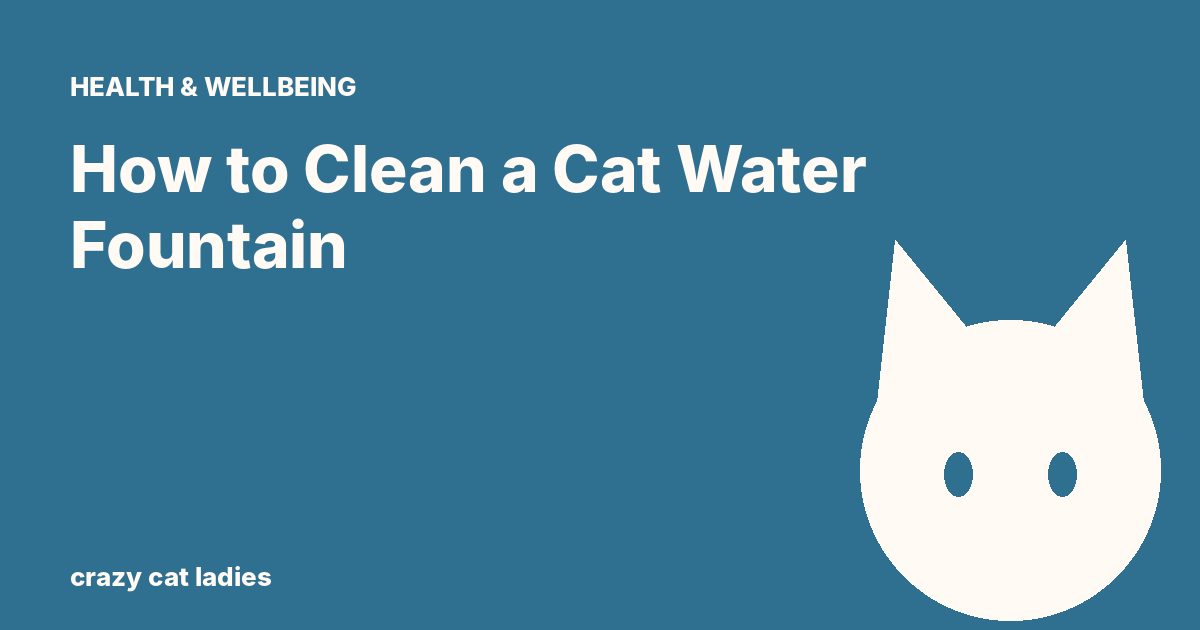How to Clean a Cat Water Fountain – Crazy Cat Ladies