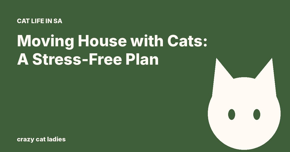 Moving House with Cats: A Stress-Free Plan – Crazy Cat Ladies