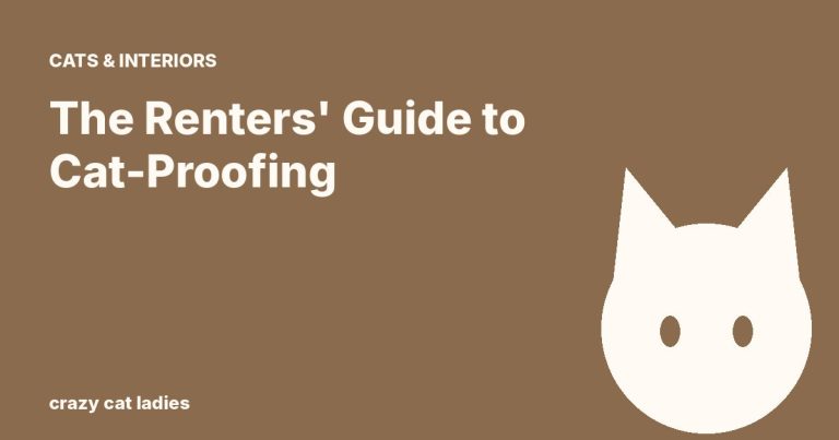 The Renters' Guide to Cat-Proofing – Crazy Cat Ladies