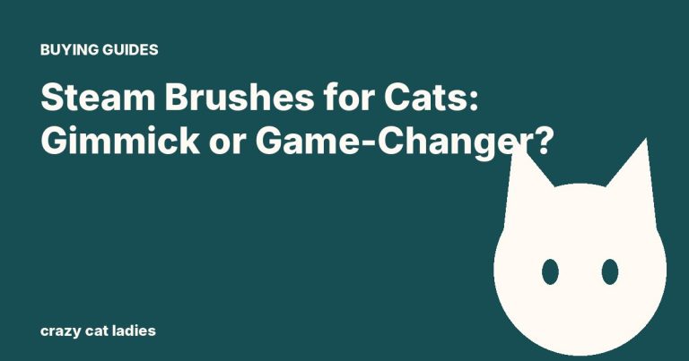 Steam Brushes for Cats: Gimmick or Game-Changer? – Crazy Cat Ladies